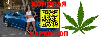 ешки Гай
