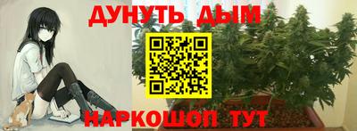 соль ск Гатчина