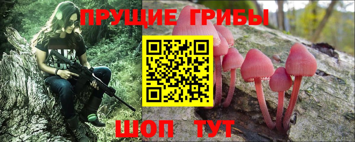 Мирный  Псилоцибиновые грибы мицелий  Вход с VPN 