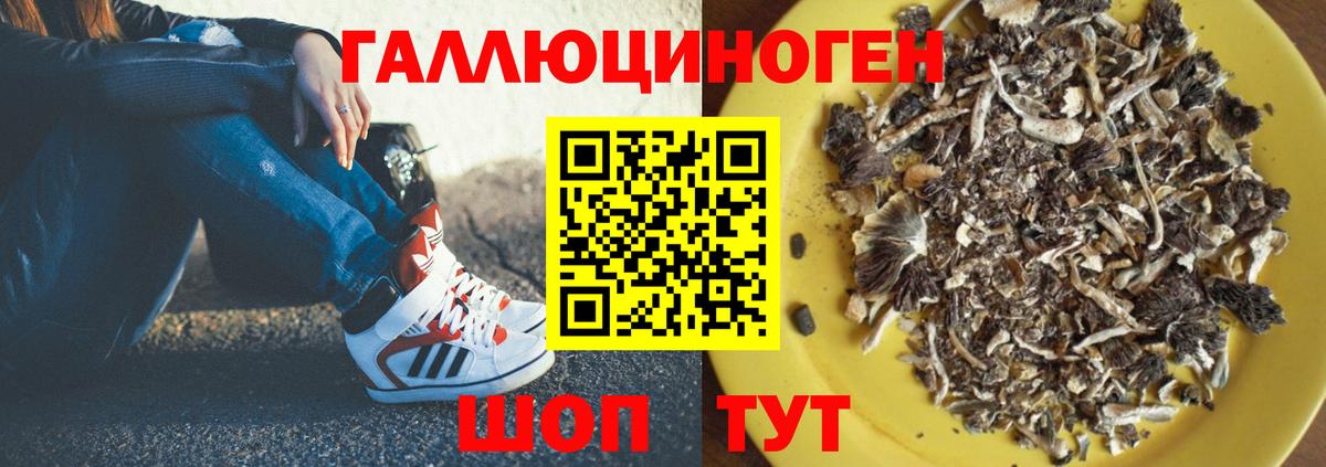 Галлюциногенные грибы ЛСД Мирный