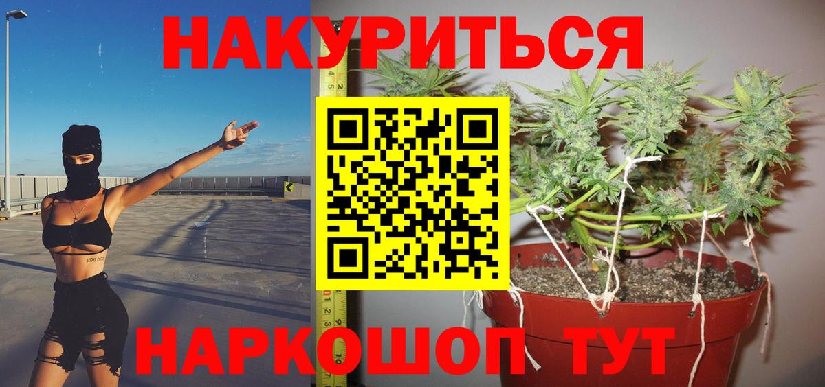 Бошки марихуана ГИДРОПОН Мирный